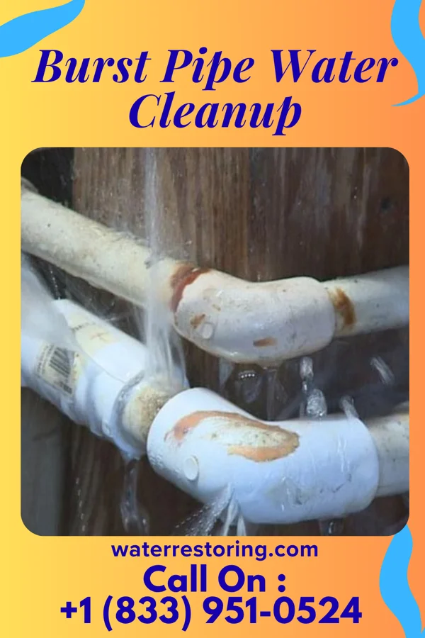 Burst Pipe Water Cleanup in Weissport, PA
