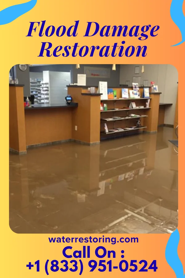 Flood Damage Restoration in Weissport, PA