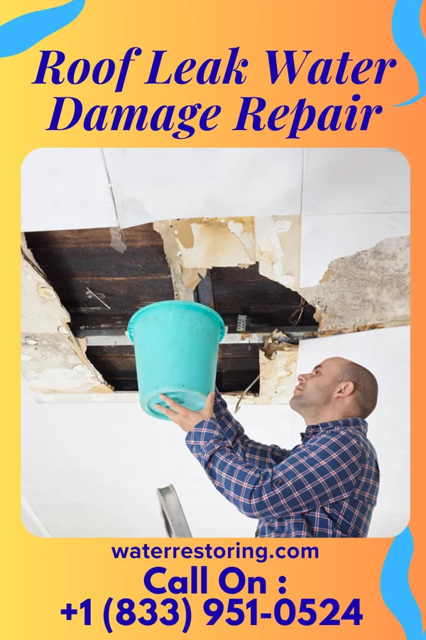 Roof Leak Water Damage Repair in Weissport, PA