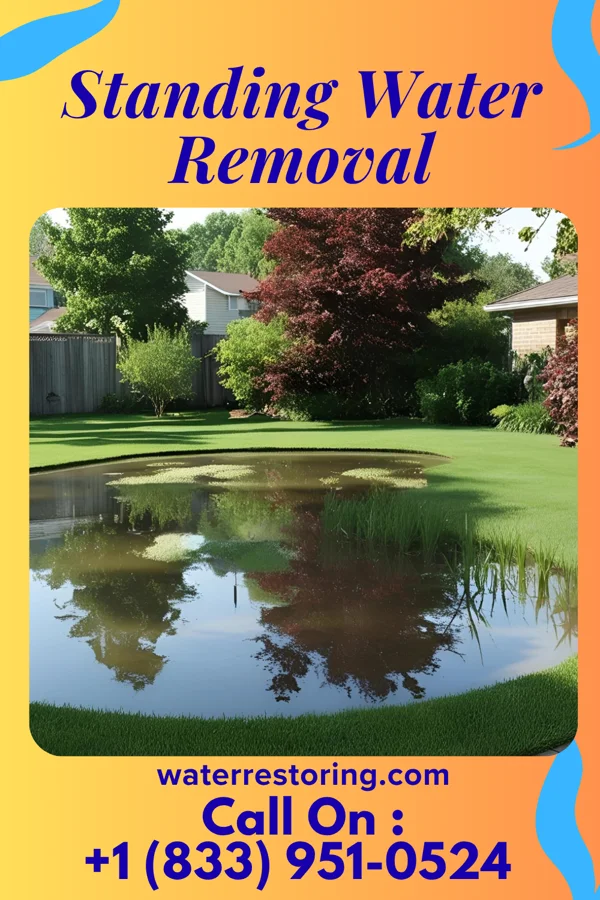 Standing Water Removal in Weissport, PA